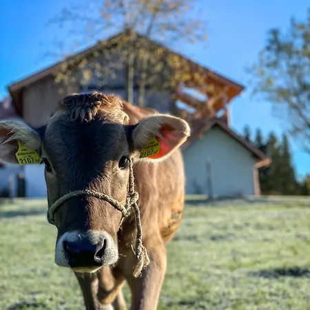 Eibele Apartmán Oberstaufen